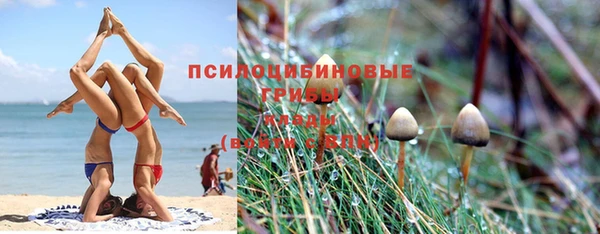 гашишное масло Белокуриха